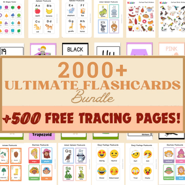 2,000+ Regular & Descriptive Flashcards | Visual Learning & Vocabulary Kit | Printable PDF